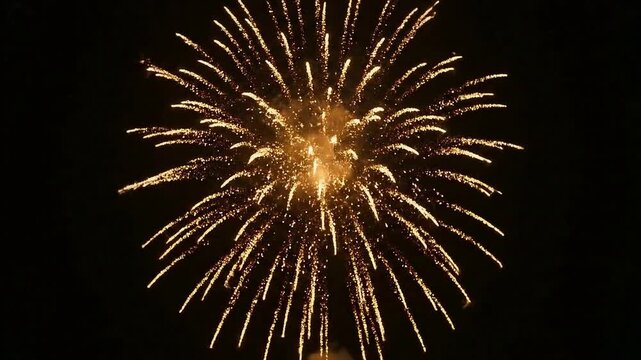 A firework bright shines in the vast, dark night sky, 4k celebration video