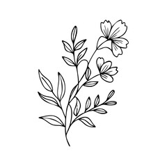 Trendy floral branch and minimalist flowers for logo or decorations. Hand drawn line wedding herb, elegant leaves for invitation save the date card. Botanical rustic trendy greenery See Less
