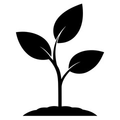 Young Green Sapling Vector
