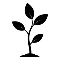 Young Green Sapling Vector