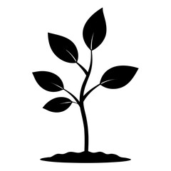Young Green Sapling Vector