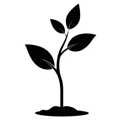 Young Green Sapling Vector