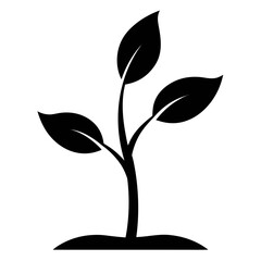 Young Green Sapling Vector