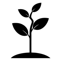 Young Green Sapling Vector