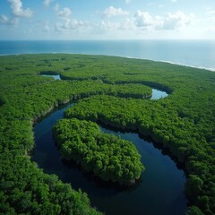 Obraz premium Aerial view of coastal mangrove forest, green canopy, winding river, blue ocean background. Vibrant wetland ecosystem supports rich biodiversity, crucial for environmental conservation,