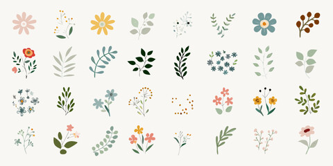 Fototapeta premium Collection of delicate hand drawn floral and botanical illustrations