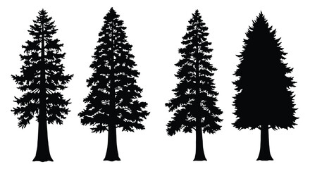 Fototapeta premium title Four black silhouettes of fir trees in a row set against a white background