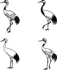 Crane Bird Set,  Silhouette Design, Vector illustration