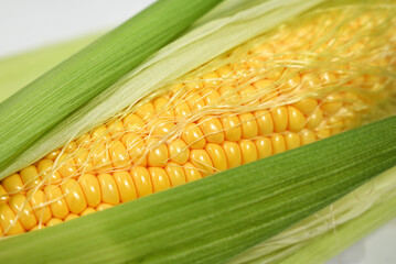 Close-up of fresh corn with bright yellow kernels, green leaves, and corn silk. Fresh sweet corn cob with a natural texture.