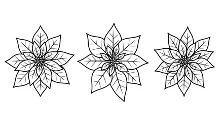 Obraz premium Outline Set 3 Icons of Poinsettia Flowers in Black on White 