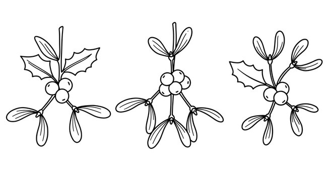 Outline set of three mistletoe icons in black on white background  