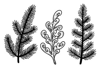 Outline set of three different black doodle Christmas tree branches  
