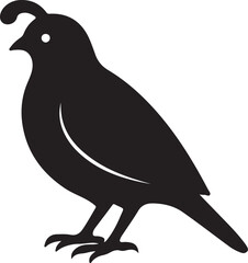 silhouette of a bird