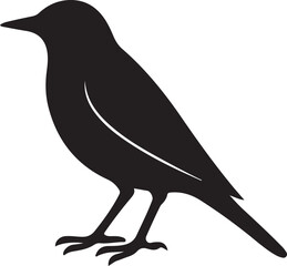 vector illustration of a crow