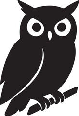 owl on a white background