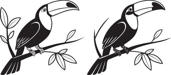 vector illustration of a bird