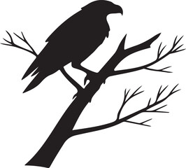 vector illustration of a bird