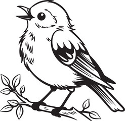 vector illustration of a bird