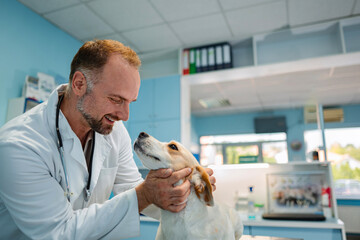 Caring veterinarian interacts lovingly with a dog in a clinic