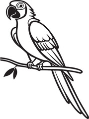 parrot on a branch