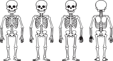 Vector drawing of a human body, a sketch of a cartoon fashion model, and a silhouette of people