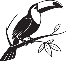 toucan on a branch