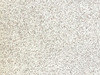 A close-up, abstract background of a speckled texture with small dark and light dots on a light beige surface.