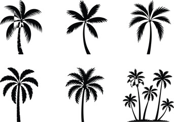 Tropical palm tree silhouette vector collection for summer design, beach themes, travel posters, island illustrations, retro artwork, and decor.