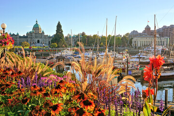 Beautiful harbor view with colorful autumn flowers and the British Columbia parliament building in...