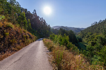 A serene rural road stretches into the distance
