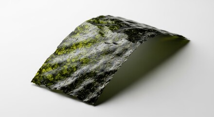 A single sheet of dried seaweed, dark green with lighter green patterns, is angled on a white background