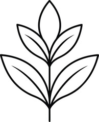 vector illustration of a green leaf