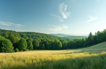 Obraz premium Expansive grassy field bathed in sunlight with rolling green hills, dense forest backdrop. Clear blue sky with wispy clouds overhead. Beautiful summer day in tranquil rural landscape, perfect for