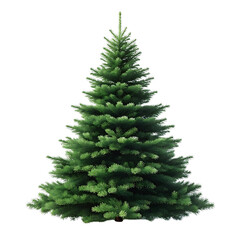 Fototapeta premium Green fir christmas tree isolated on transparent background