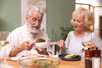 Elderly couple having dinner at table indoors