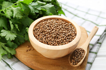 Coriander seeds and fresh cilantro on white wooden table, closeup