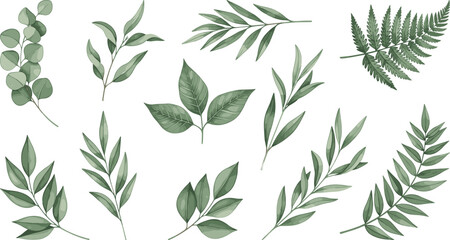 Leaf illustration set, botanical foliage, green leaves, nature design, plant diversity, fern leaf, organic texture, leaf shapes, decorative greenery, botanical art