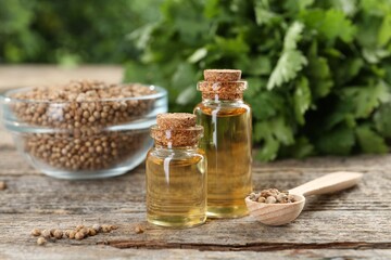 Coriander essential oil in bottles, seeds and cilantro leaves on wooden table, closeup