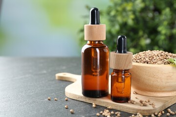 Aromatic oil in bottles, cilantro leaves and coriander seeds on black table, closeup. Space for text