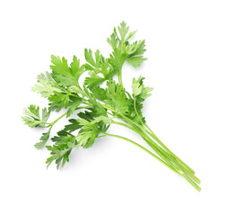 Sprigs of fresh parsley isolated on white, top view