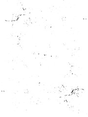 Obraz premium Grunge thin black and white overlay vector pattern. Monochrome particles abstract texture Background.