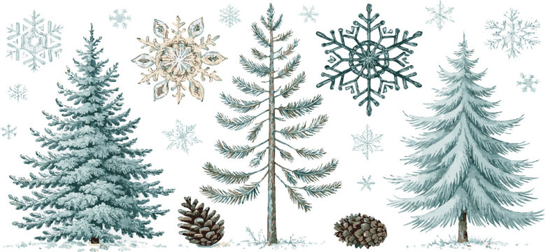 Watercolor winter forest scene with snow covered pine trees snowflakes and pine cones isolated on white background