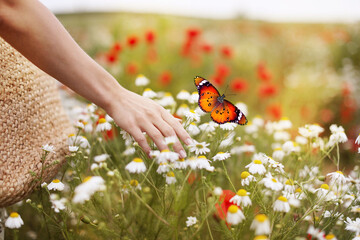 Hope. Woman and flying butterfly in nature, closeup