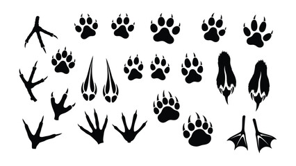 Animal Tracks: A striking monochrome collection of diverse animal tracks, each a testament to nature's intricate design. Featuring footprints from various species.