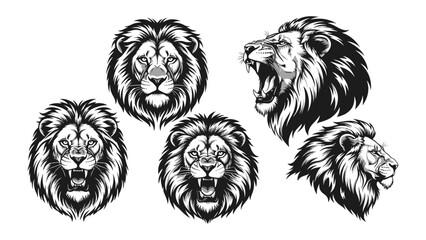 Majestic Lion Portraits: A collection of exquisitely detailed illustrations captures the noble presence of a lion, showcasing its powerful mane and fierce gaze in various poses.