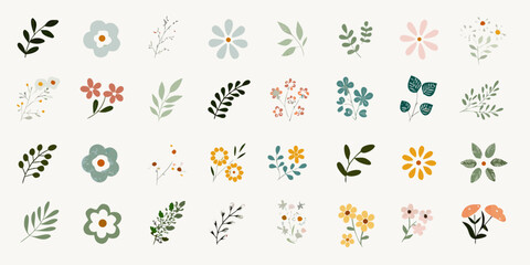 Collection of diverse botanical illustrations and floral elements