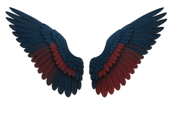 Obraz premium Striking Dual Avian Wings Featuring Deep Blue and Crimson Plumage Displayed Against a Stark Black Canvas