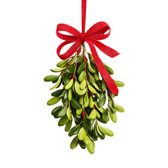 Traditional christmas mistletoe bunch with red ribbon bow isolated on transparent background