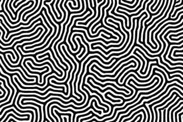 Fluid Line Abstract Optical Wave Pattern in Black and White Seamless Design