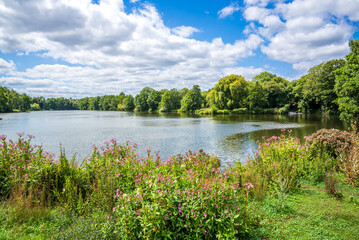 Serene lake with blooming flowers near historic Tudor-era Lullingstone Castle gardens on a sunny summer day